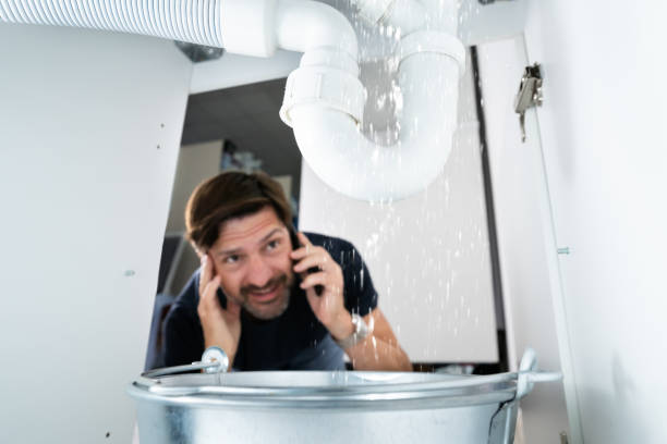 Best Sprinkler Systems  in Fairlea, WV